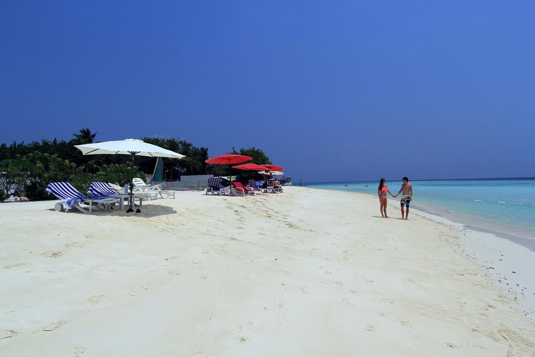Tropic Tree Maldives - View 12