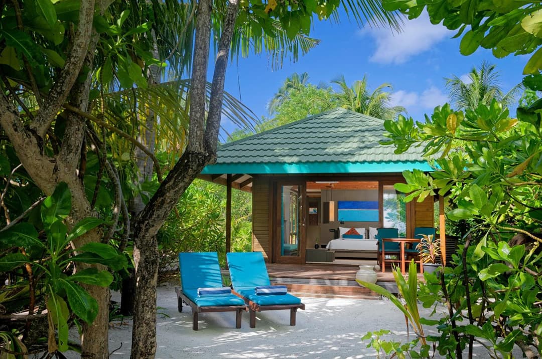 Canareef Resort Maldives - View 18