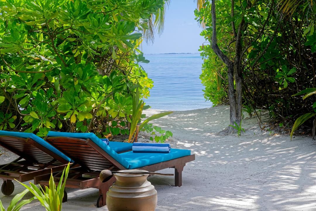 Canareef Resort Maldives - View 41