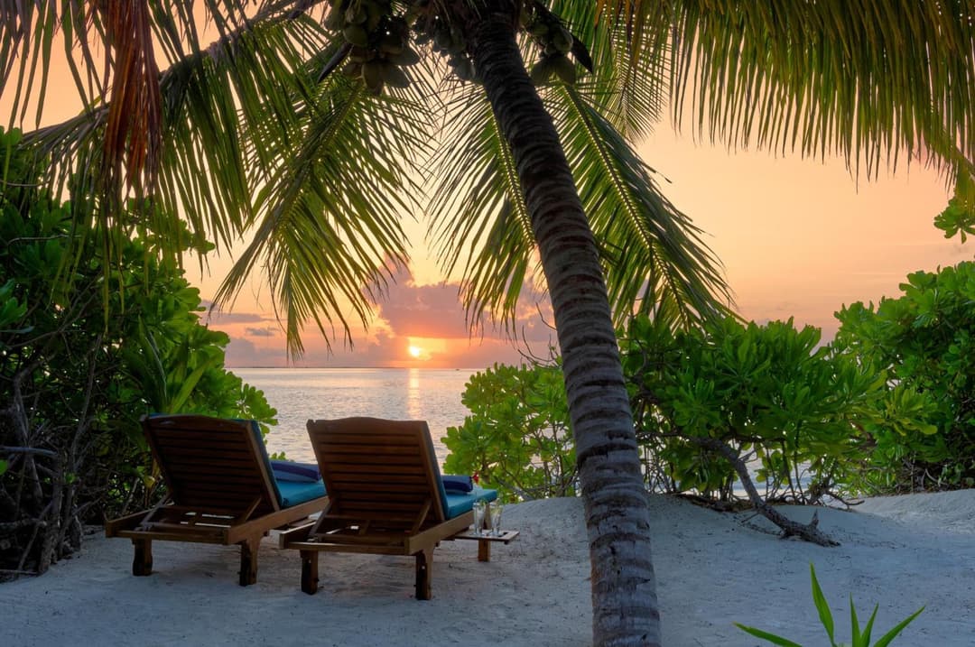 Canareef Resort Maldives - View 238
