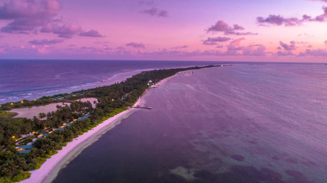 Canareef Resort Maldives - View 67