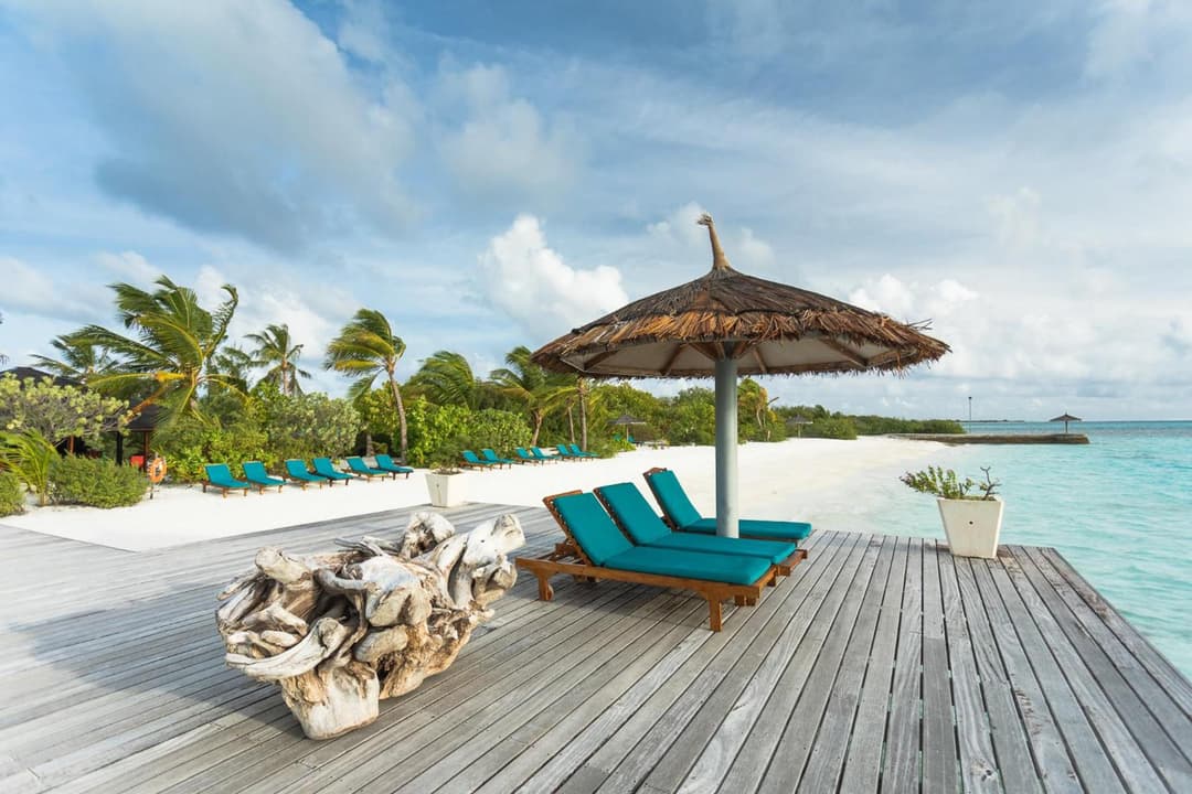 Canareef Resort Maldives - View 206