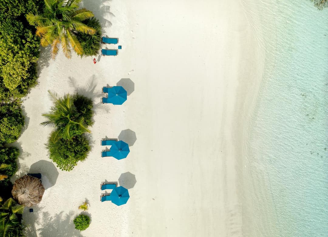 Canareef Resort Maldives - View 83
