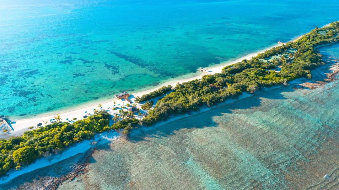 Canareef Resort Maldives - View 59
