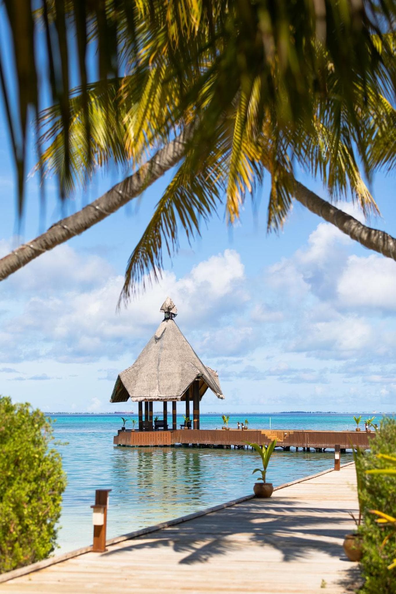 Canareef Resort Maldives - View 21