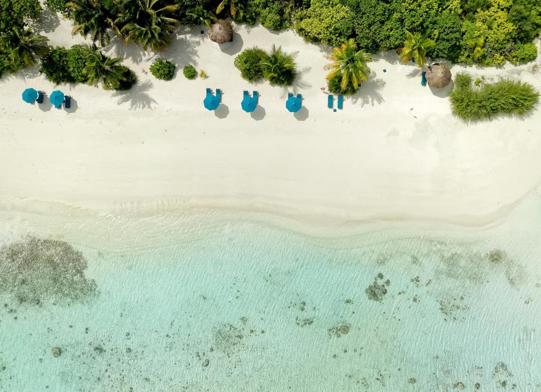 Canareef Resort Maldives - View 209