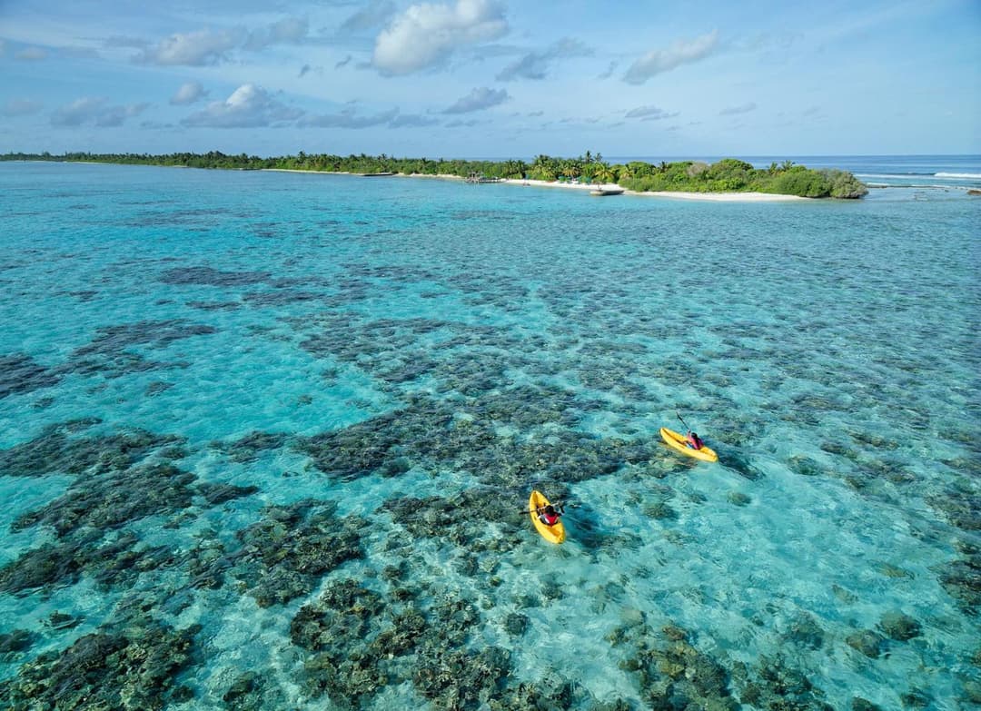 Canareef Resort Maldives - View 232