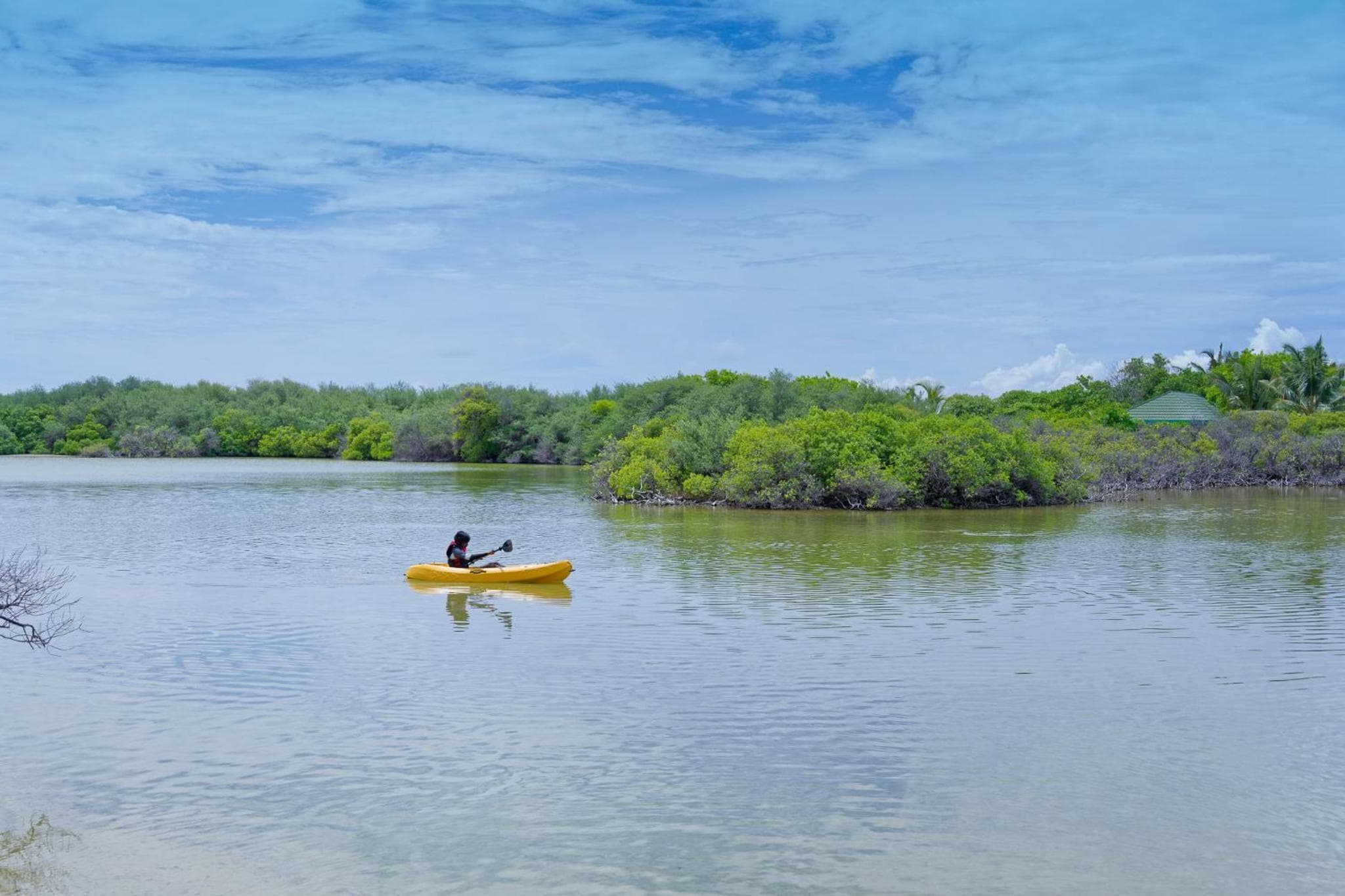 Canareef Resort Maldives - View 63