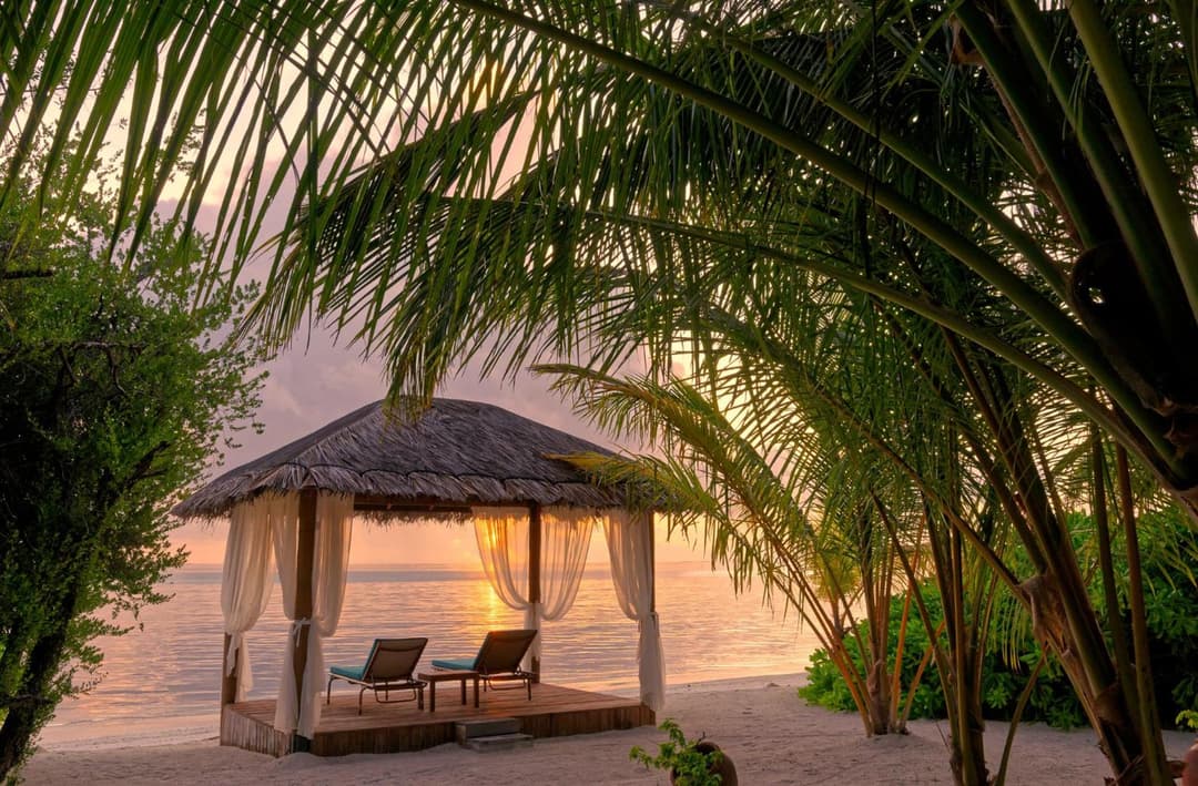 Canareef Resort Maldives - View 29