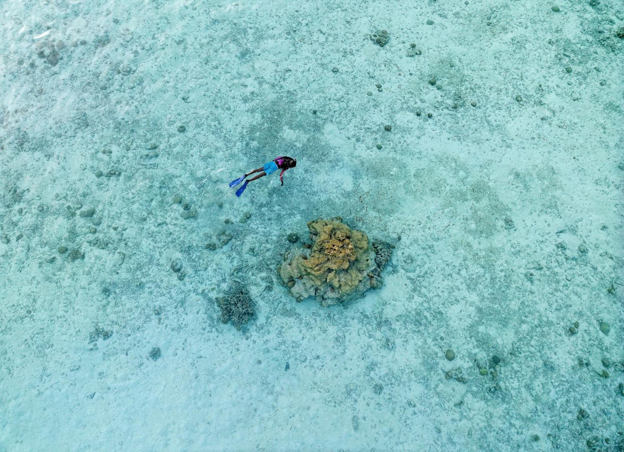 Canareef Resort Maldives - View 70