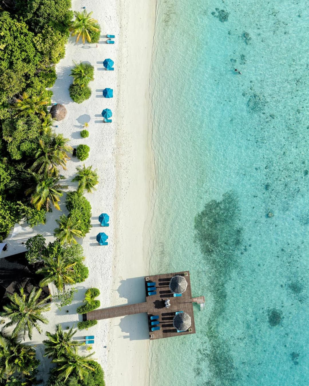 Canareef Resort Maldives - View 30