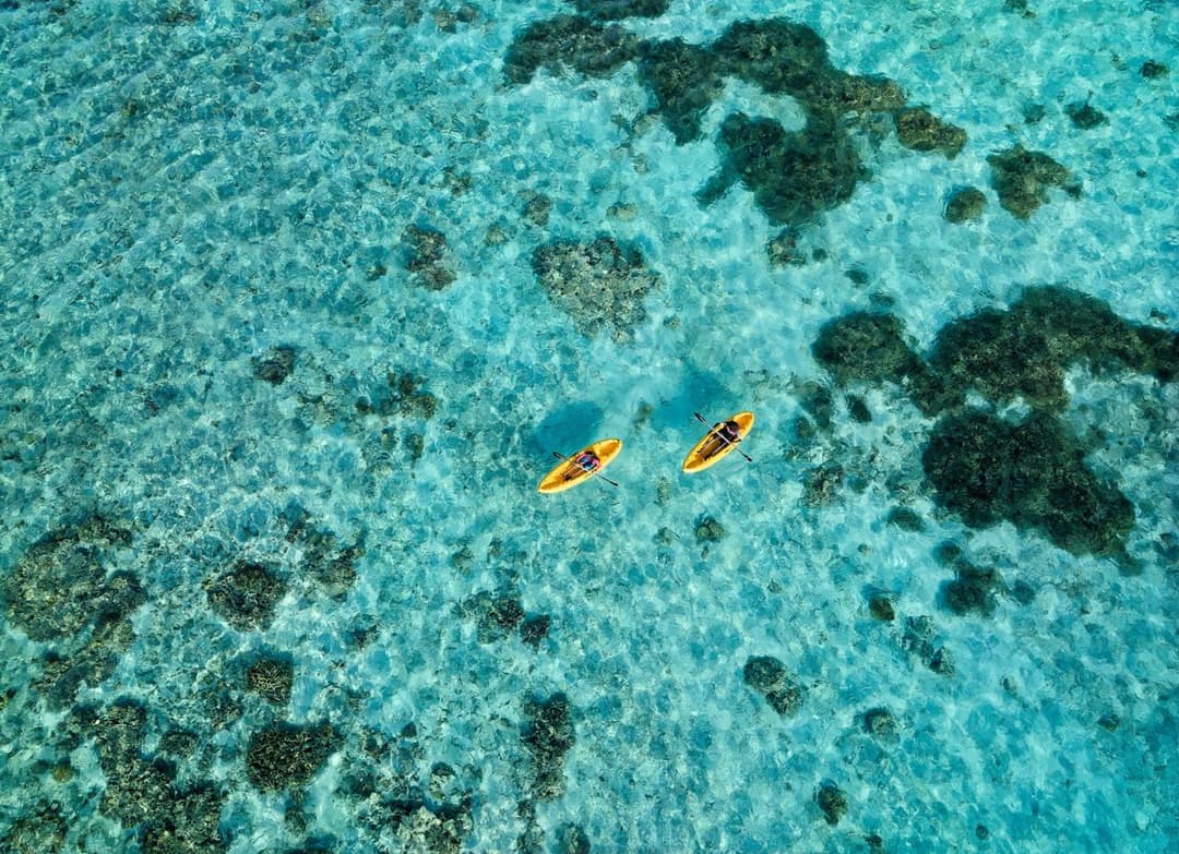 Canareef Resort Maldives - View 156