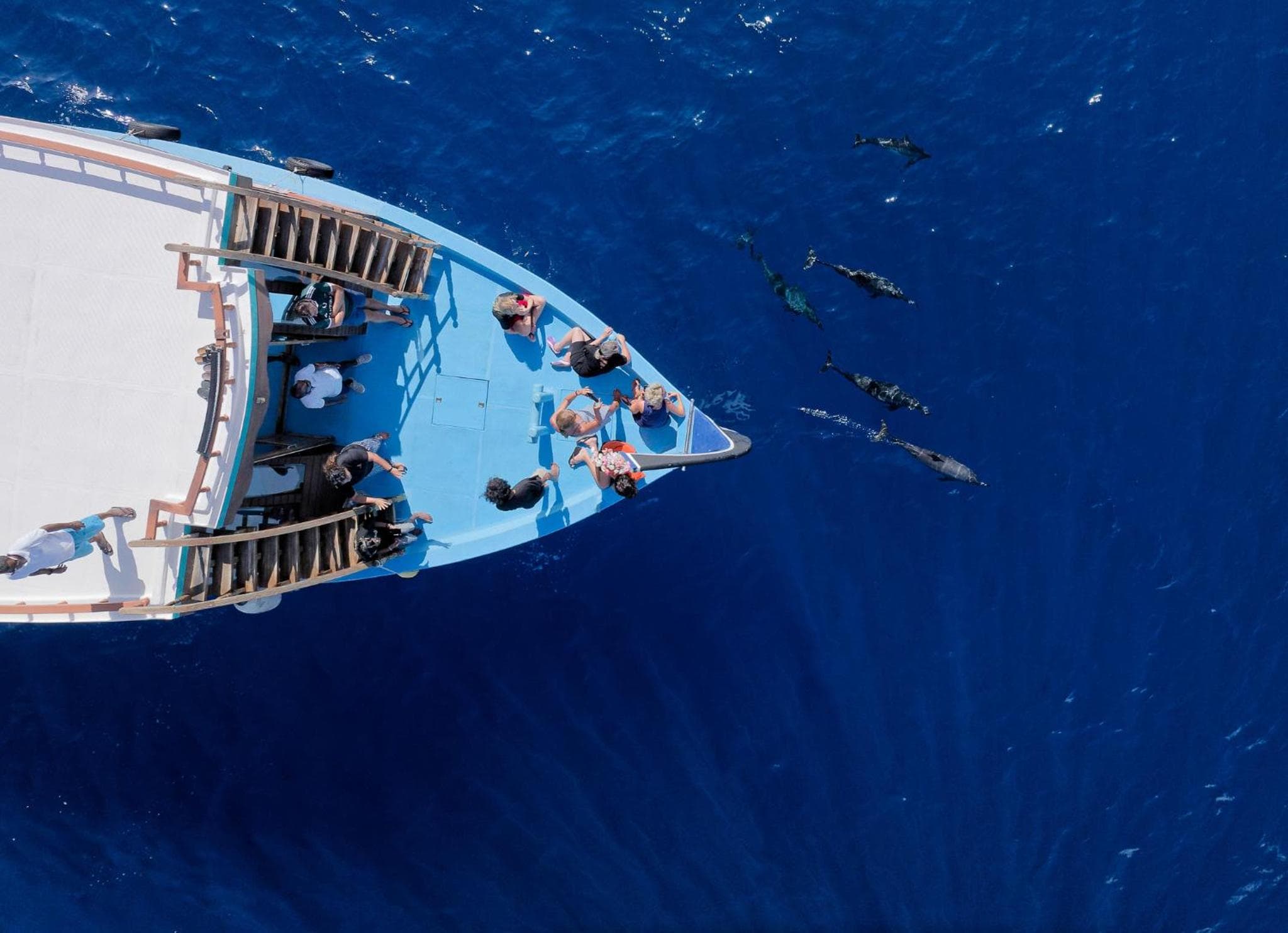 Canareef Resort Maldives - View 209