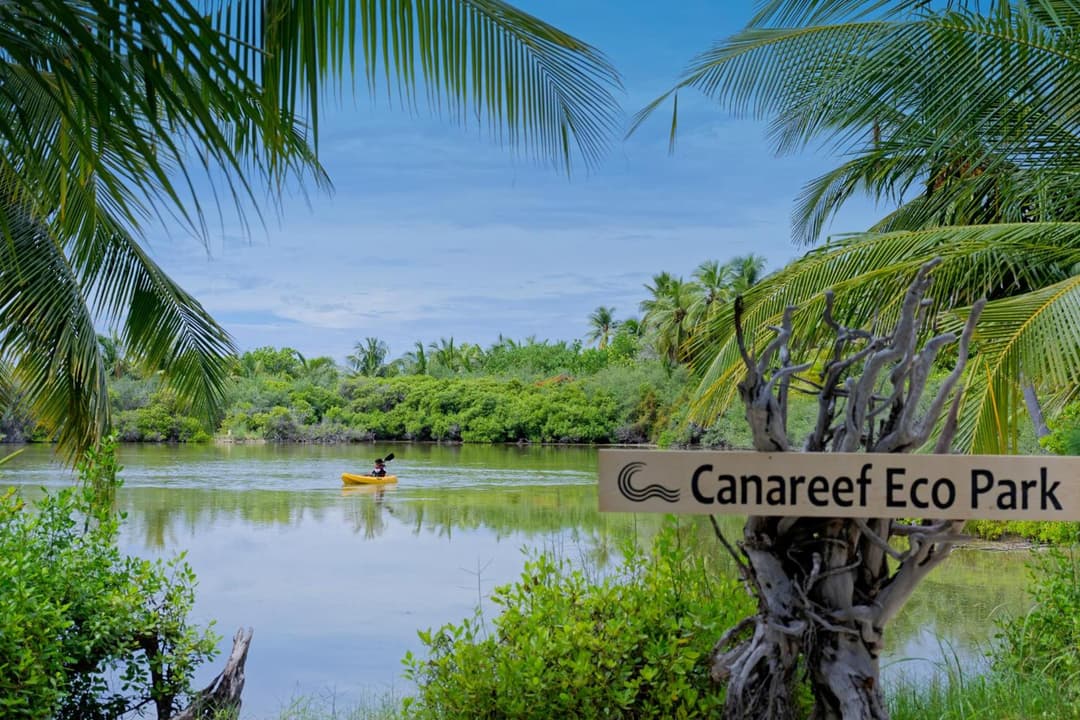 Canareef Resort Maldives - View 168