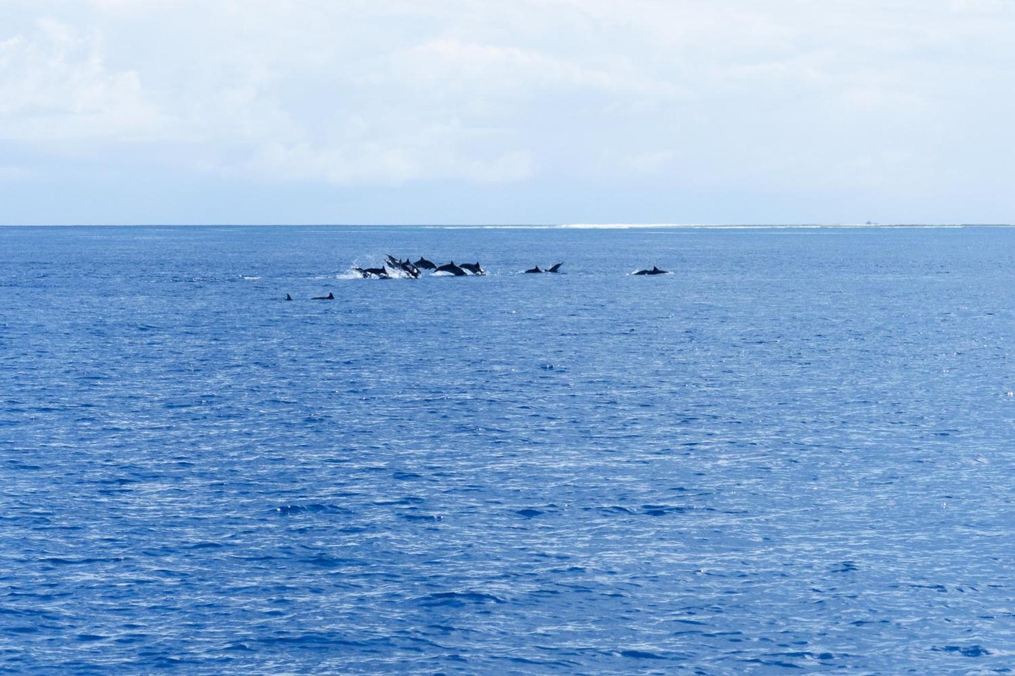 Canareef Resort Maldives - View 205