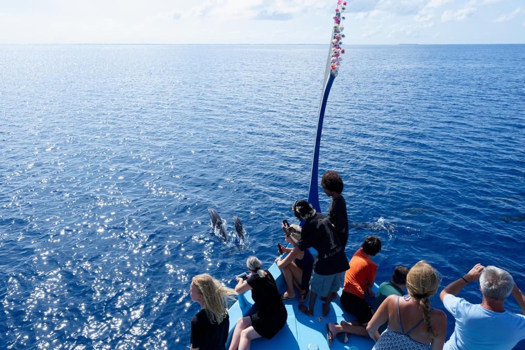 Canareef Resort Maldives - View 127
