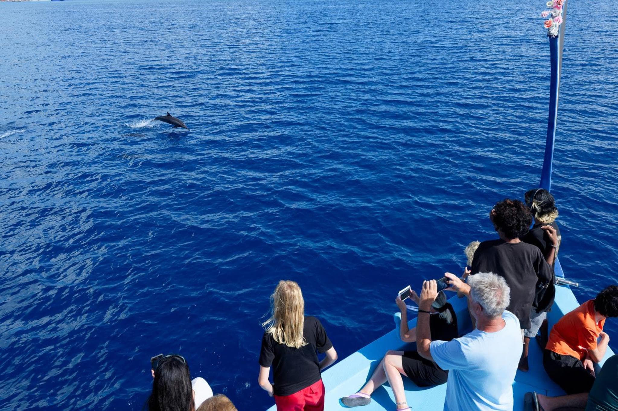 Canareef Resort Maldives - View 80