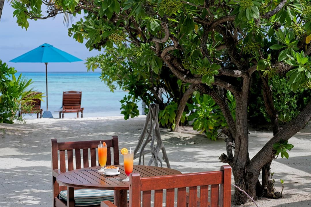 Canareef Resort Maldives - View 247
