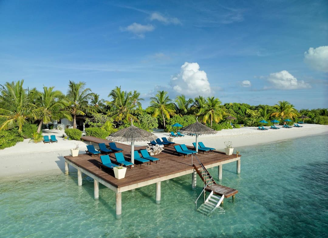 Canareef Resort Maldives - View 50