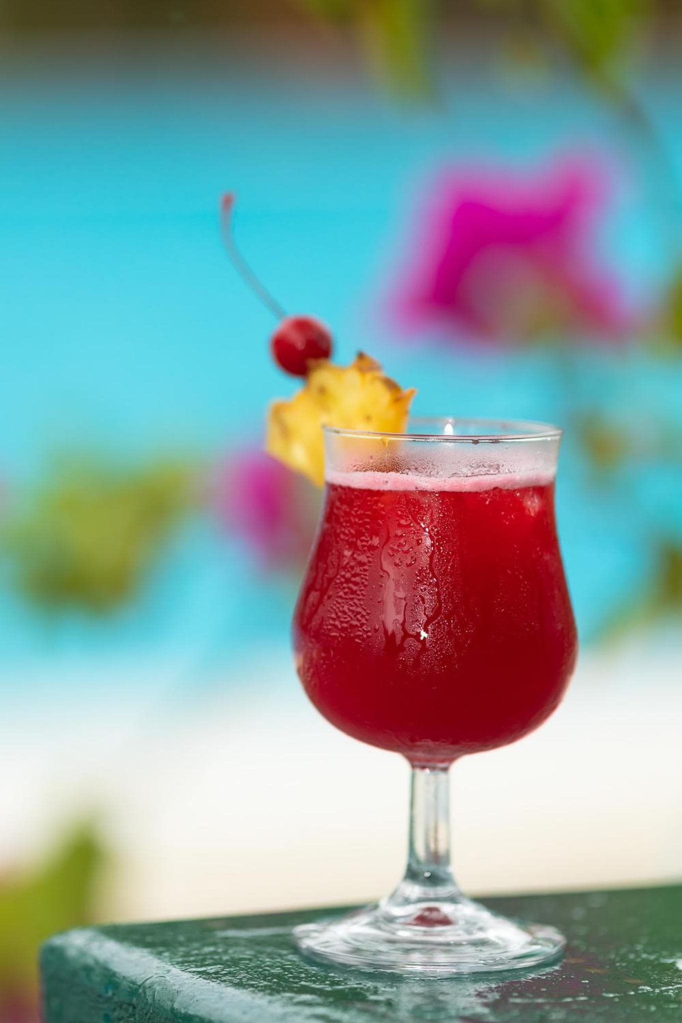 Canareef Resort Maldives - View 255