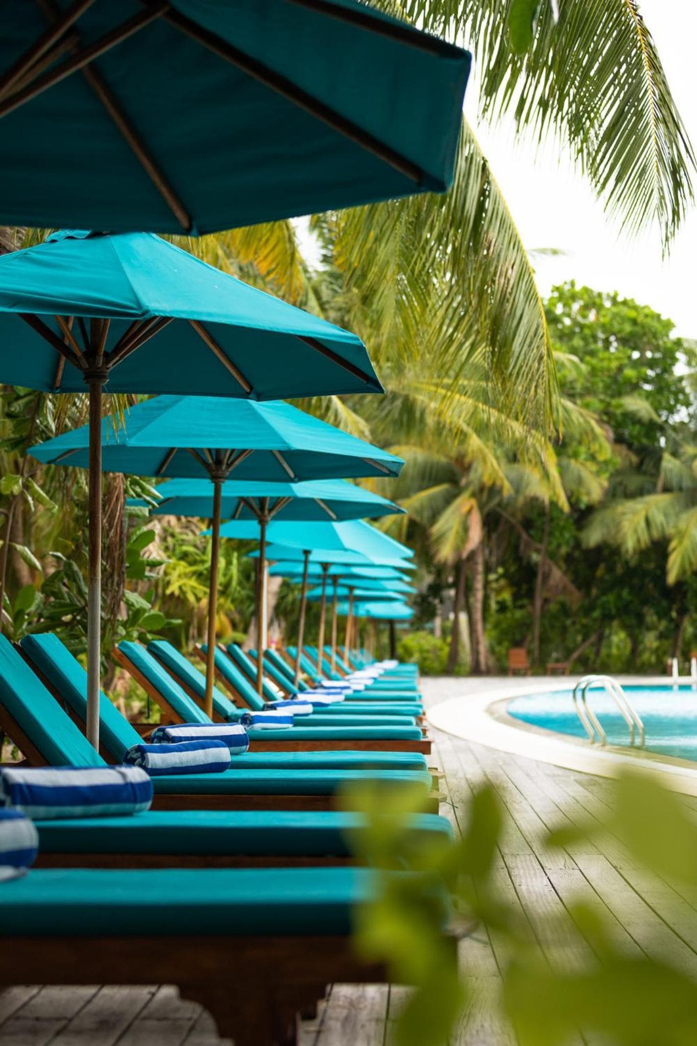 Canareef Resort Maldives - View 215