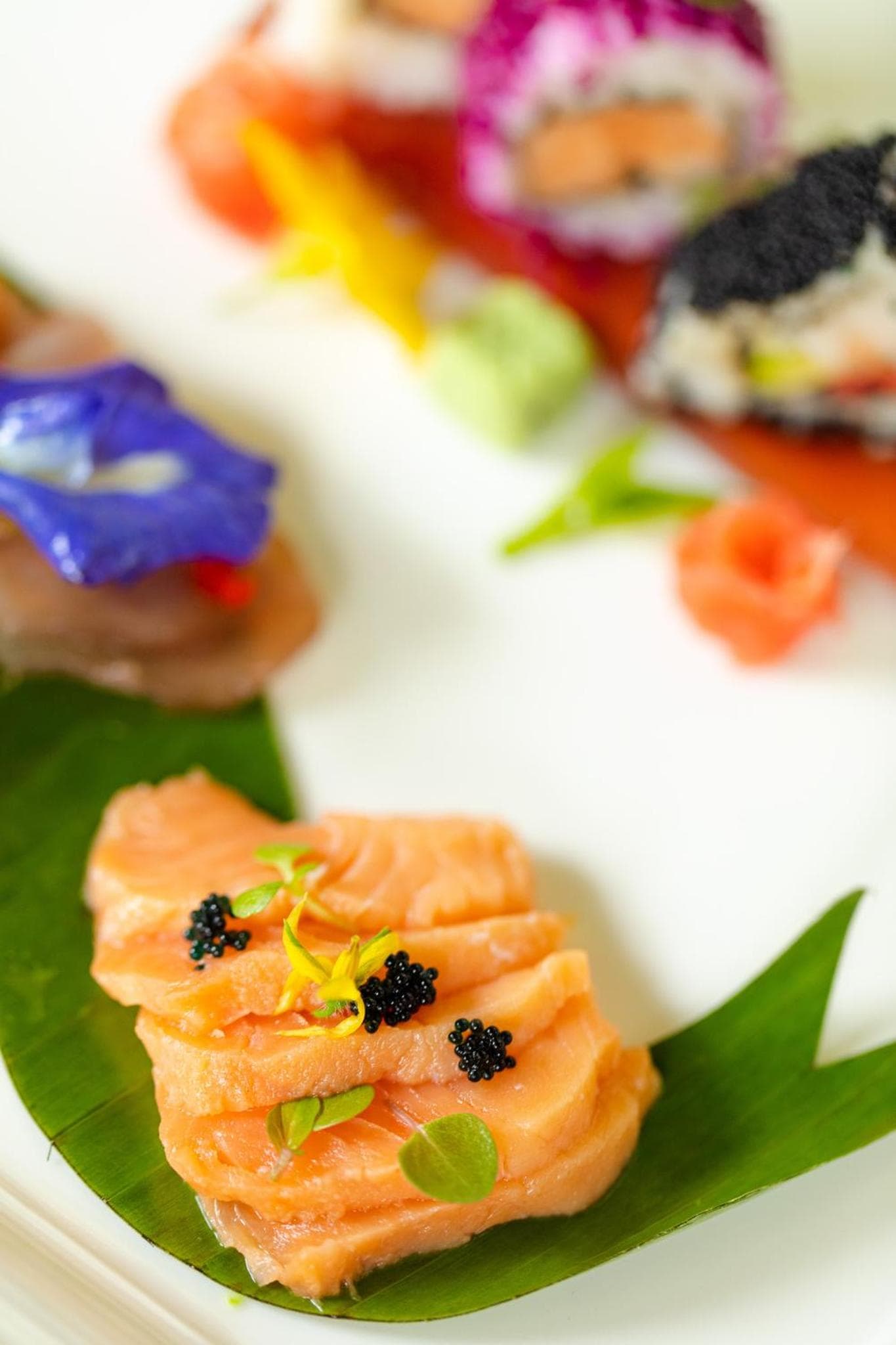 Canareef Resort Maldives - View 225