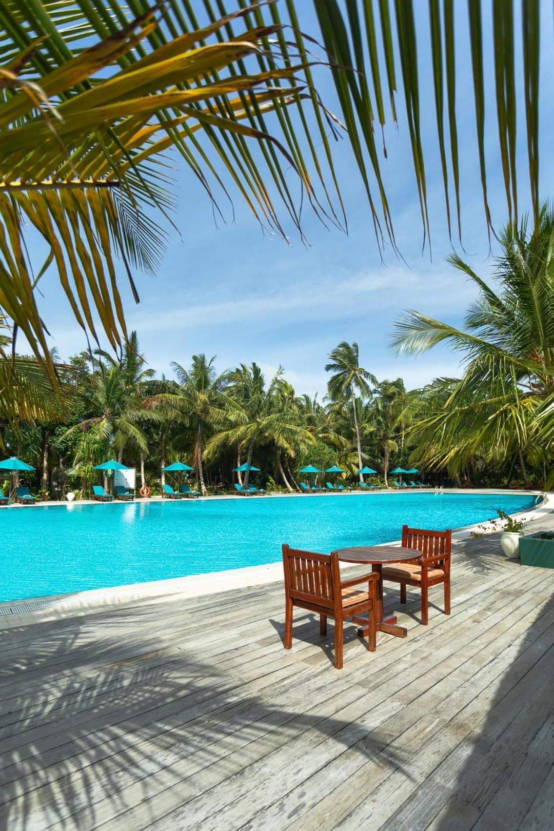 Canareef Resort Maldives - View 98