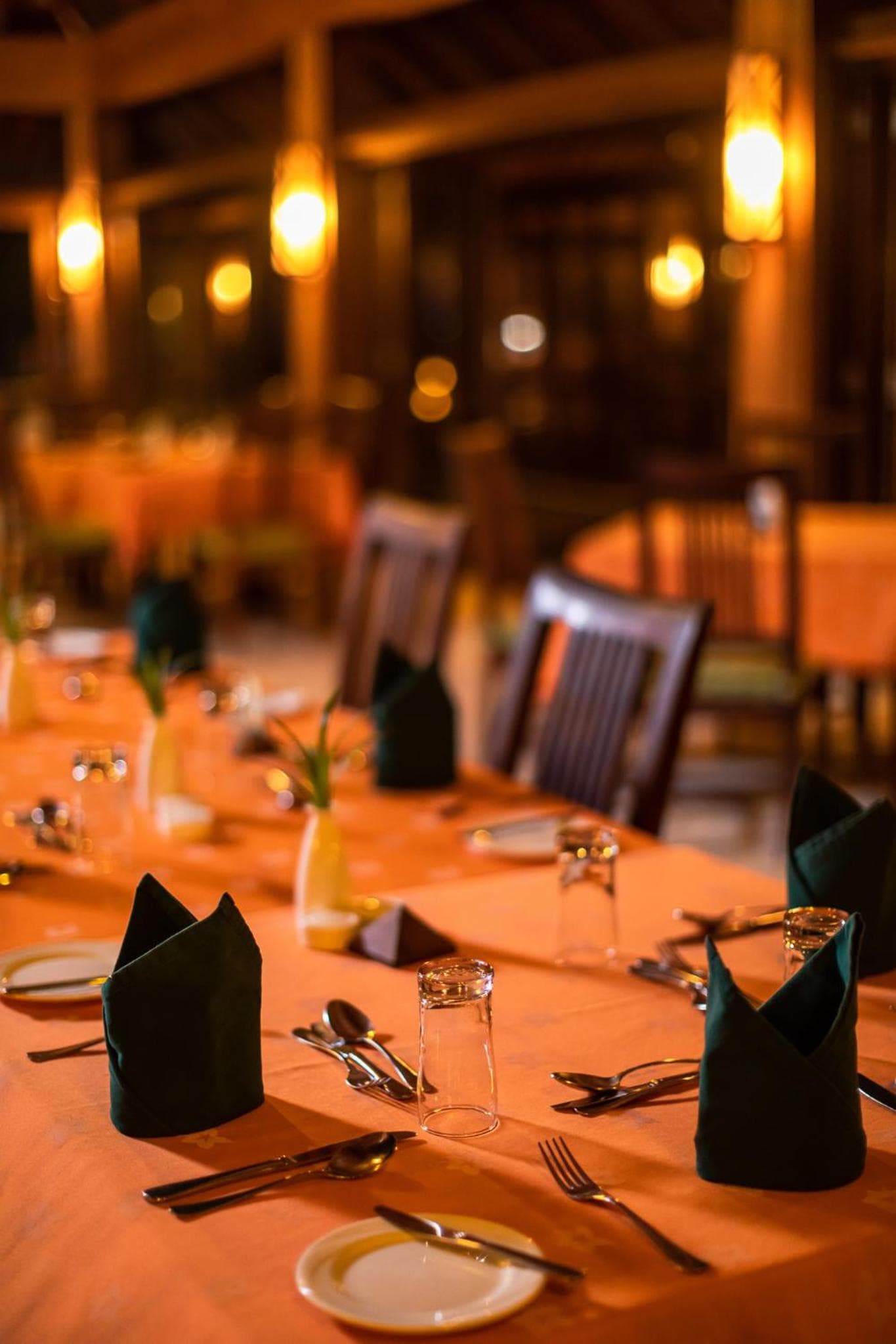 Canareef Resort Maldives - View 251