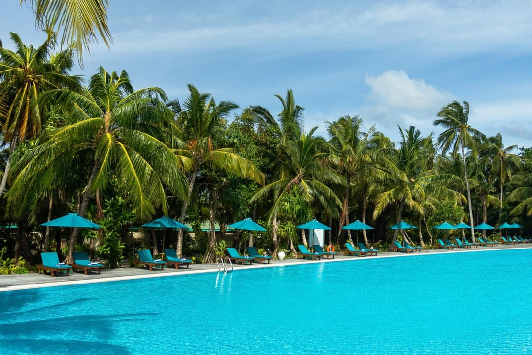 Canareef Resort Maldives - View 142
