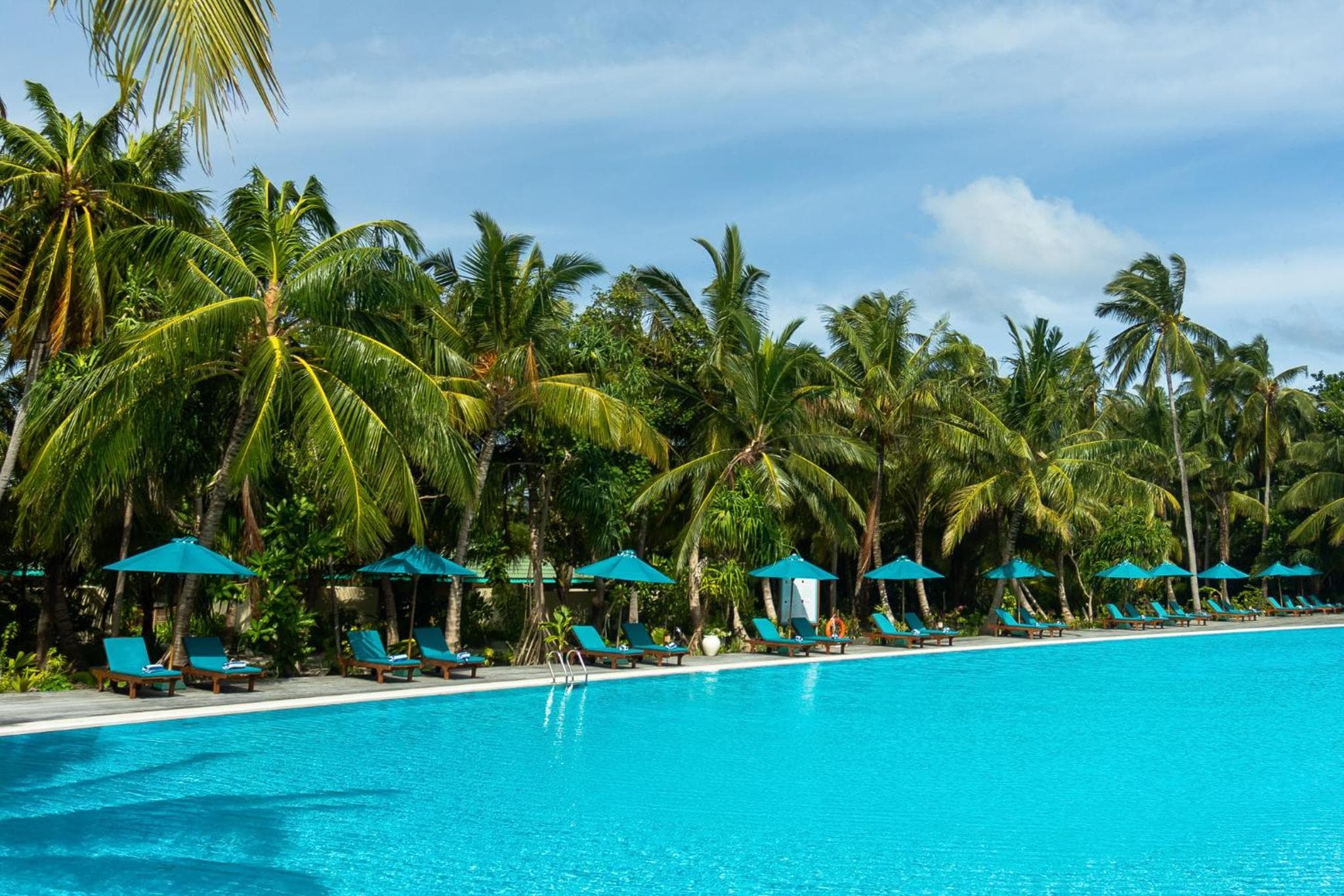 Canareef Resort Maldives - View 231