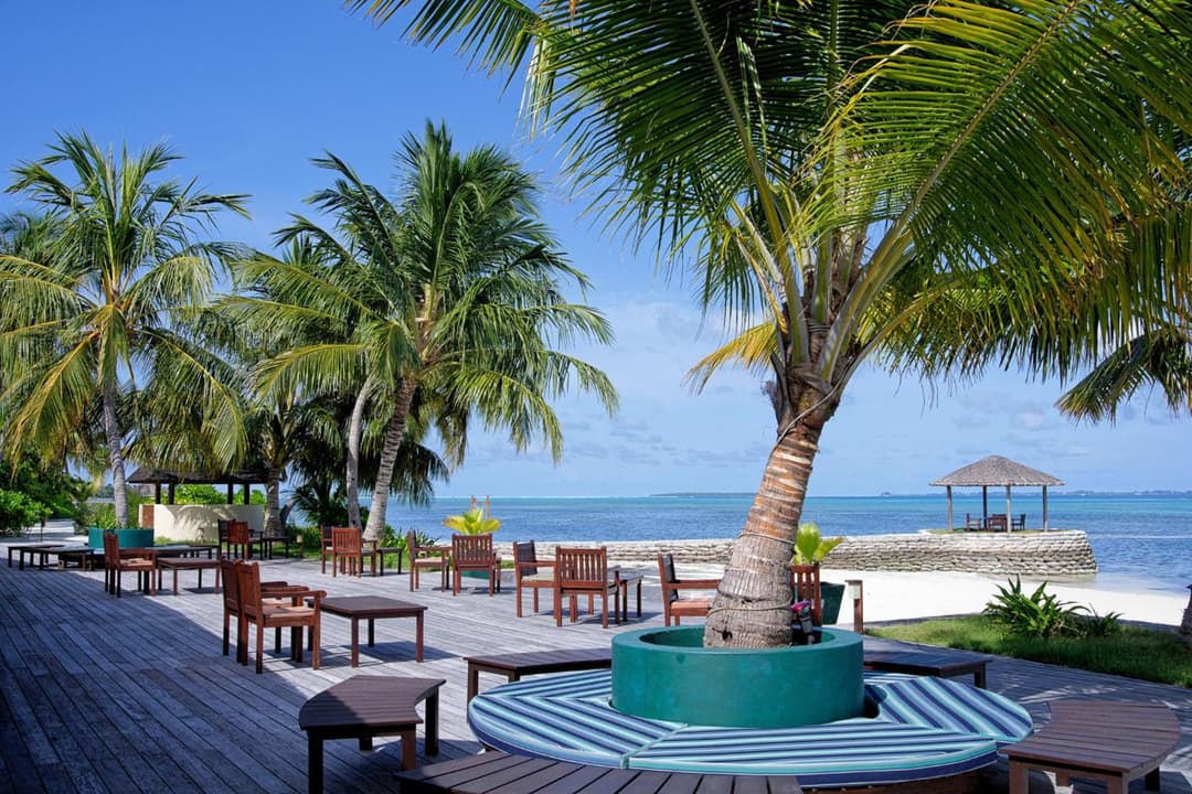 Canareef Resort Maldives - View 254