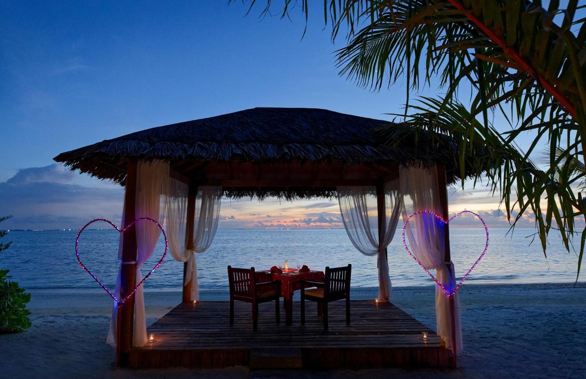 Canareef Resort Maldives - View 105