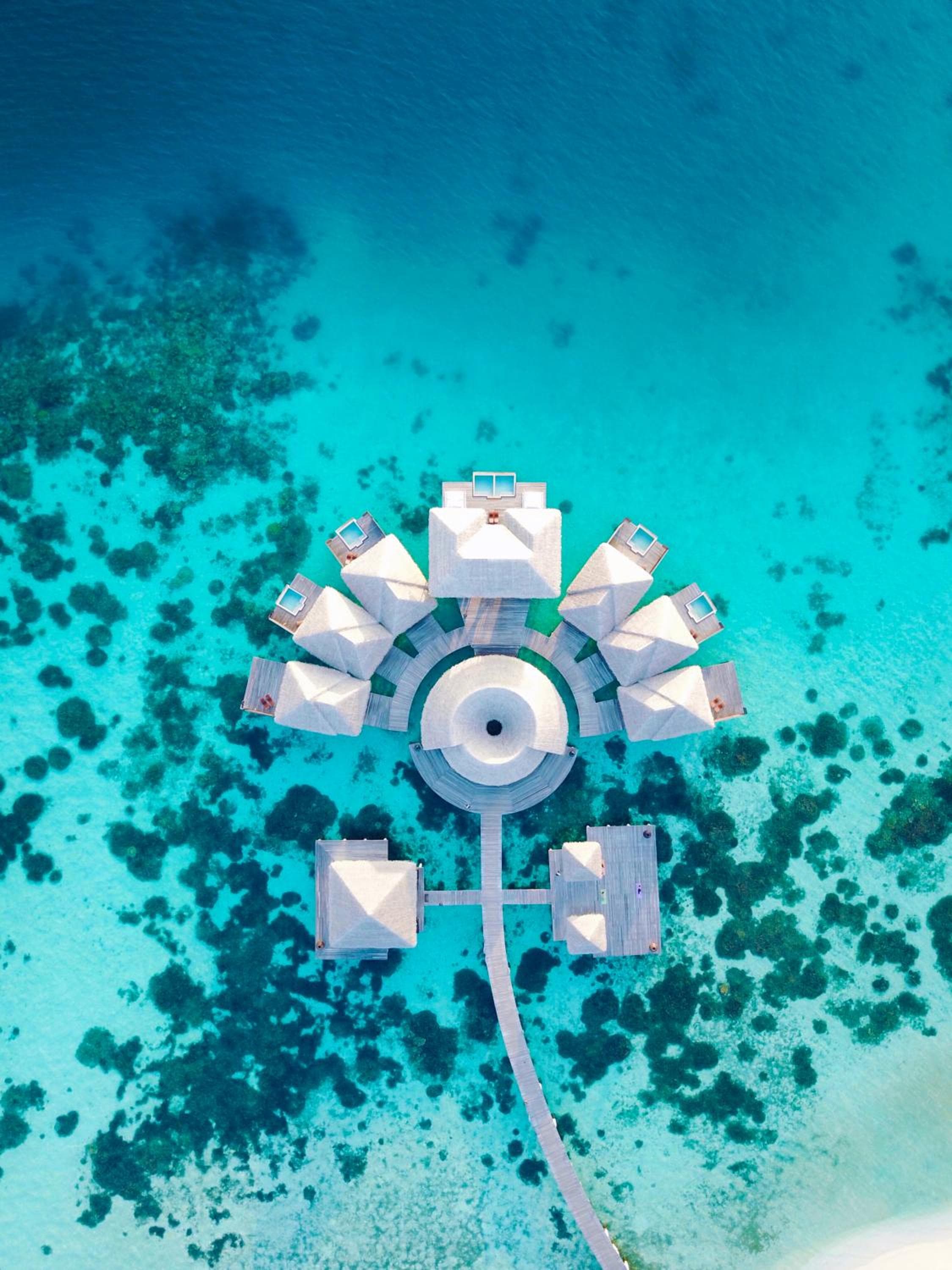 Coco Bodu Hithi - 50 percent off shared roundtrip Speedboat for stays from 1 Sep to 23 Dec 2025 - View 41