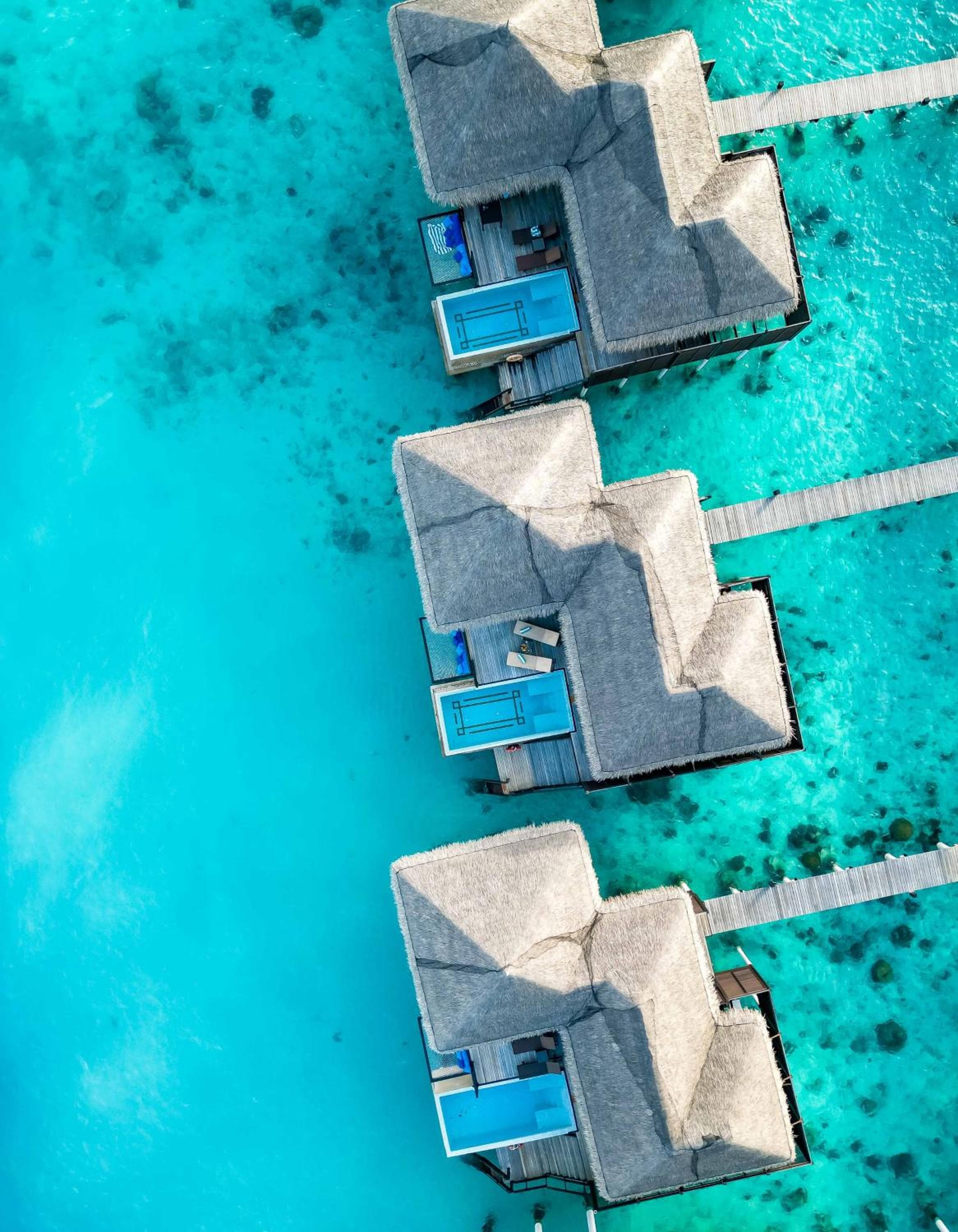 Coco Bodu Hithi - 50 percent off shared roundtrip Speedboat for stays from 1 Sep to 23 Dec 2025 - View 52