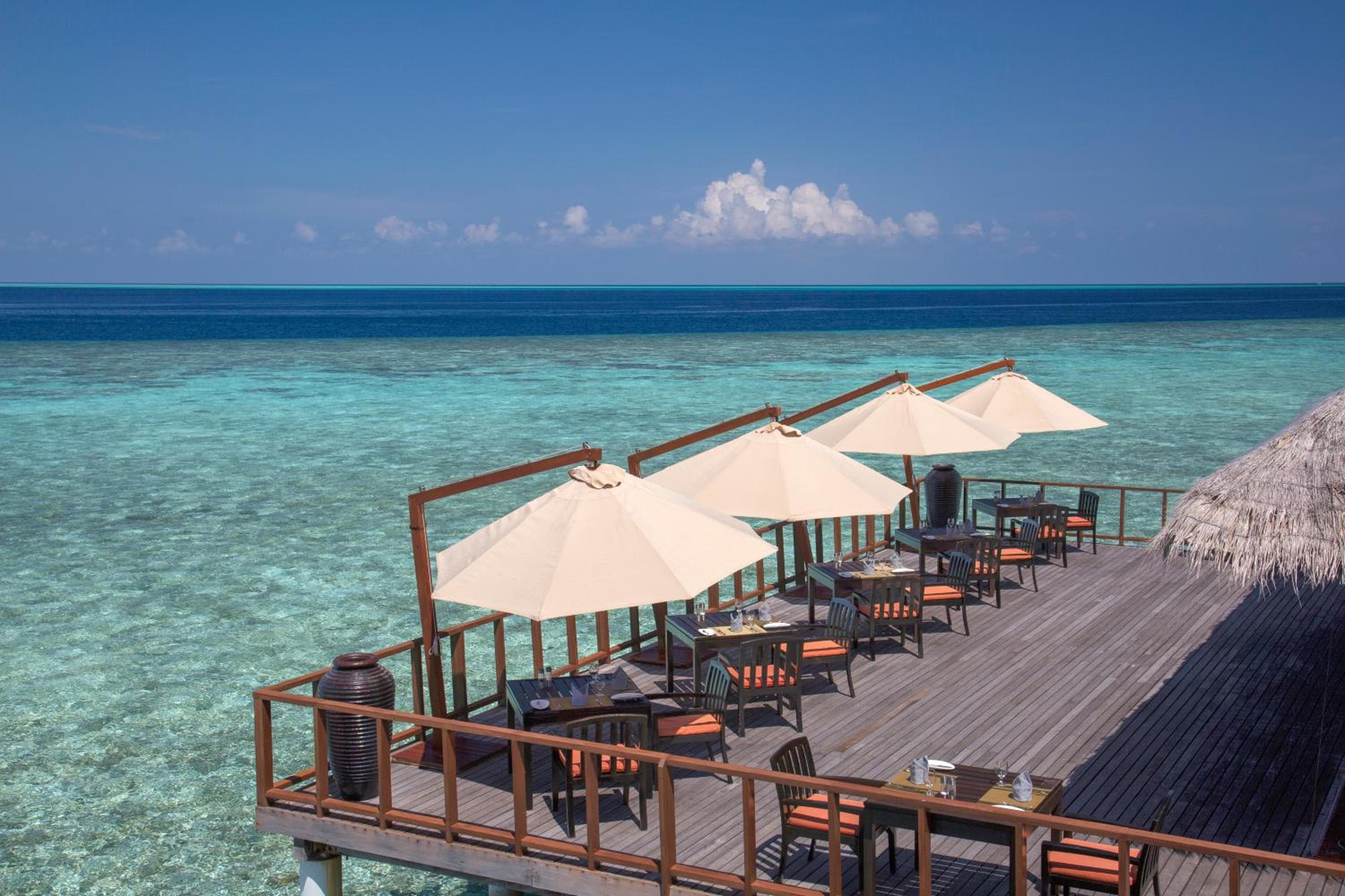 Coco Bodu Hithi - 50 percent off shared roundtrip Speedboat for stays from 1 Sep to 23 Dec 2025 - View 58