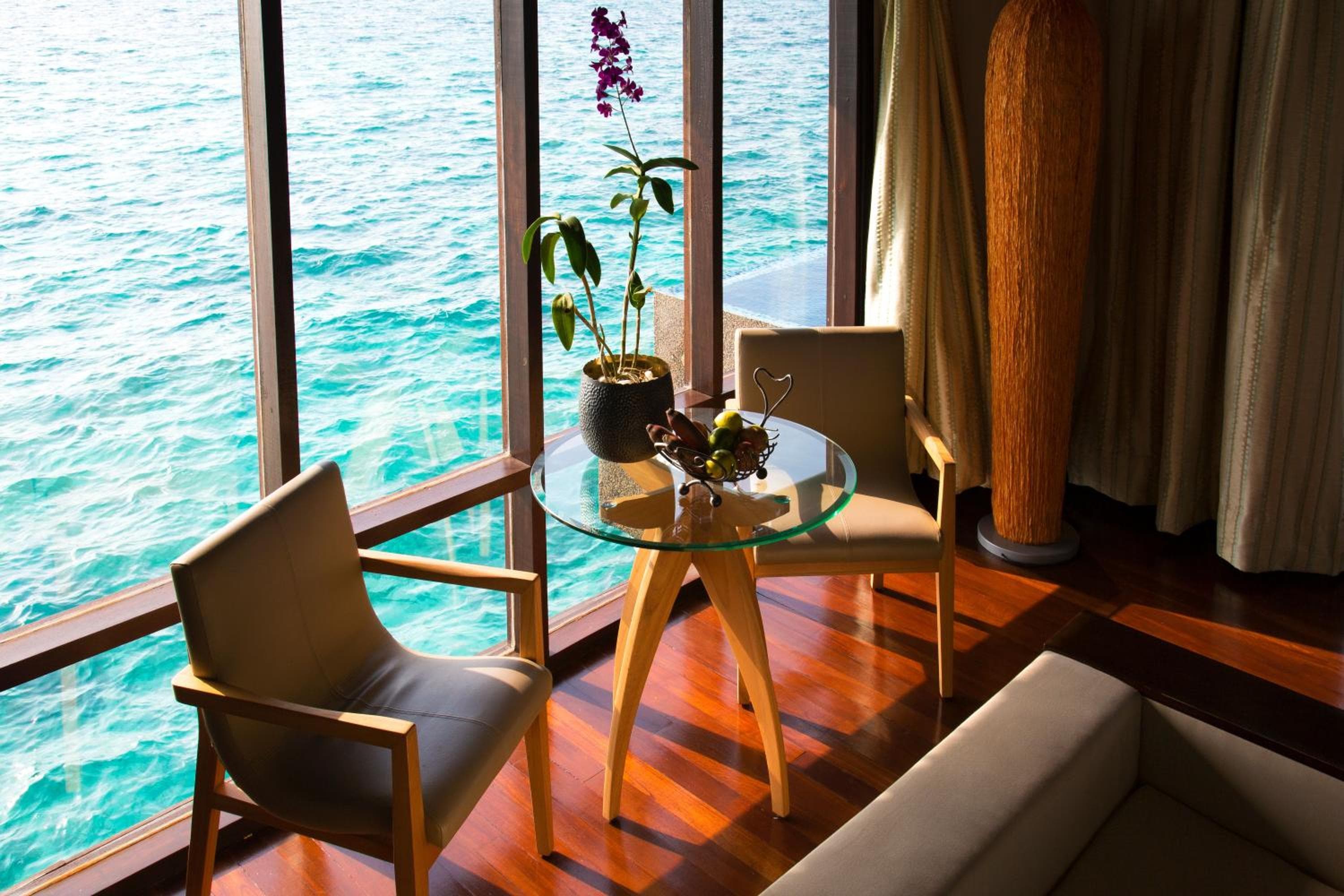 Coco Bodu Hithi - 50 percent off shared roundtrip Speedboat for stays from 1 Sep to 23 Dec 2025 - View 75