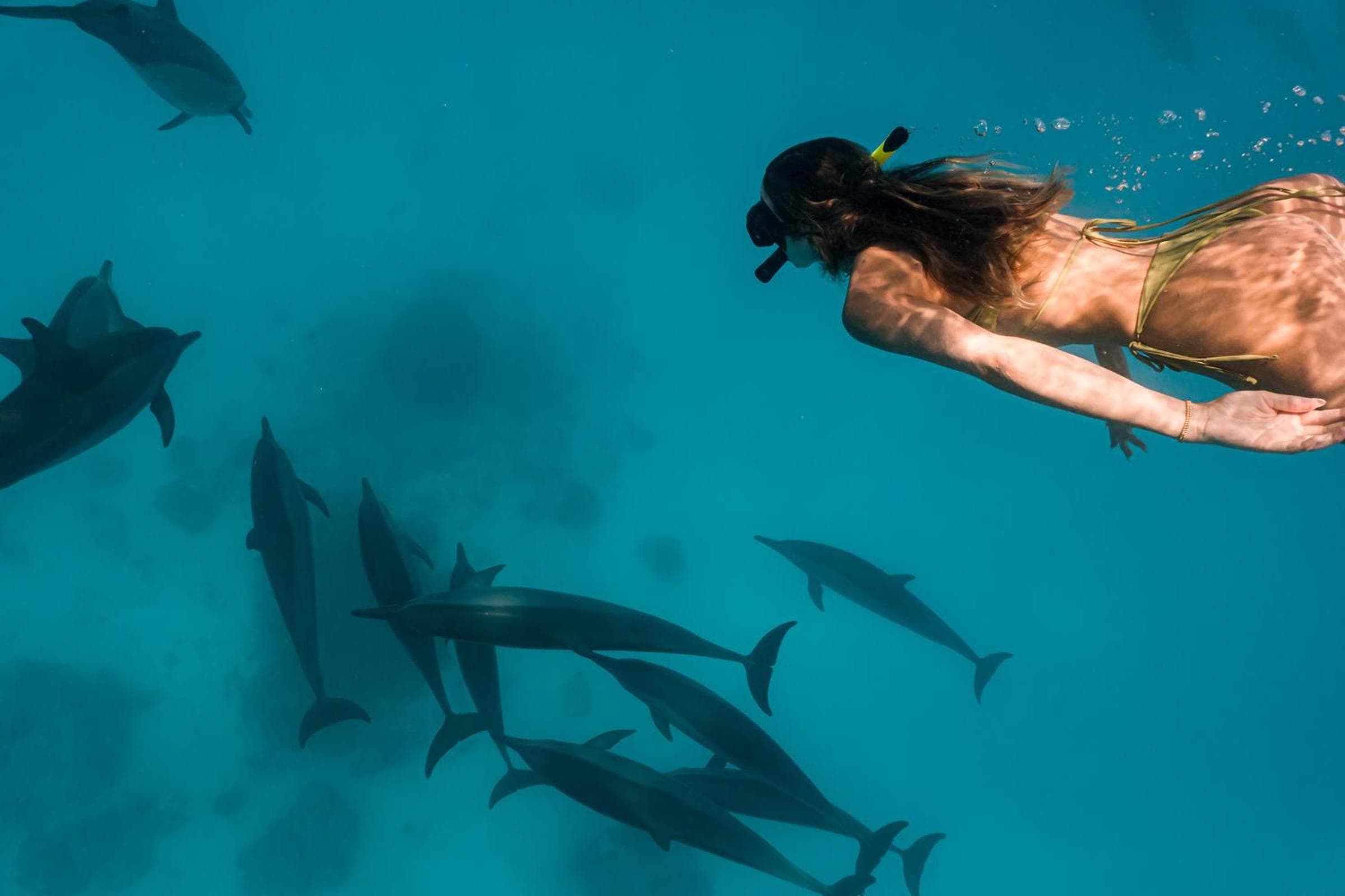 Sun Siyam Olhuveli - View 120