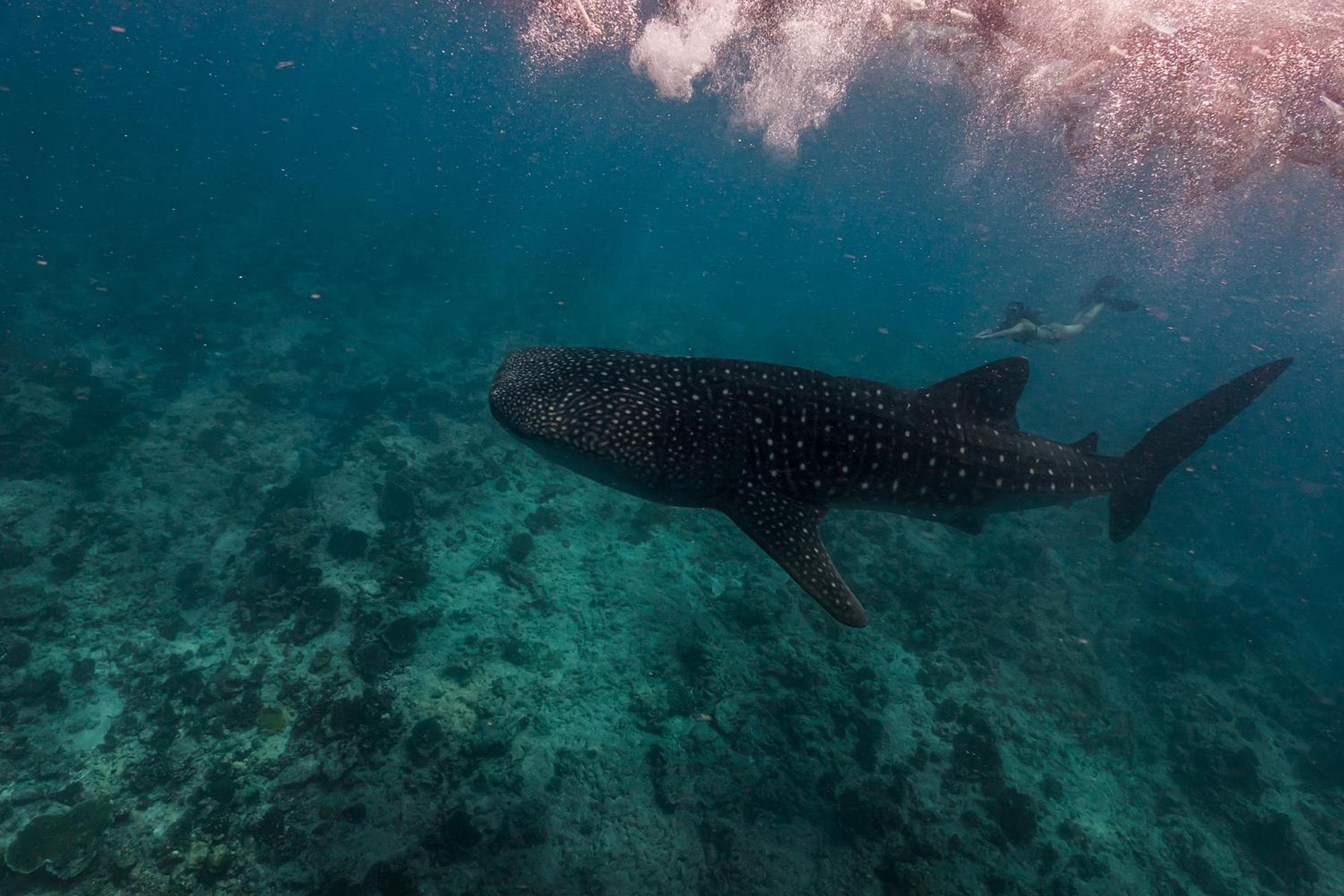 Sun Siyam Olhuveli - View 121