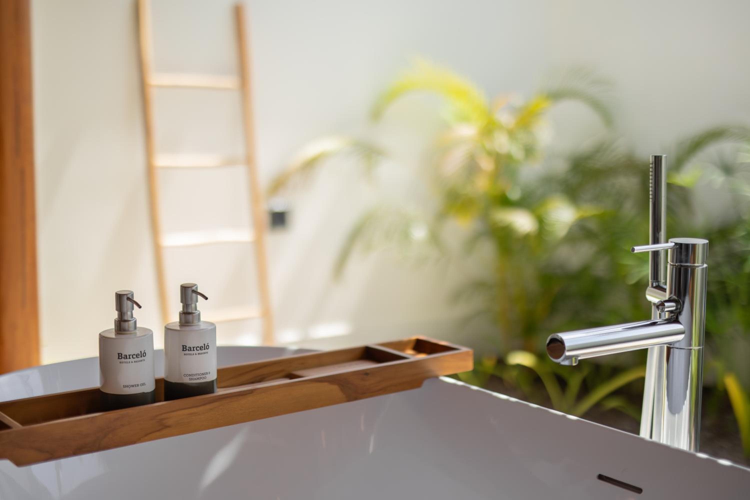 Barceló Whale Lagoon Maldives - View 39