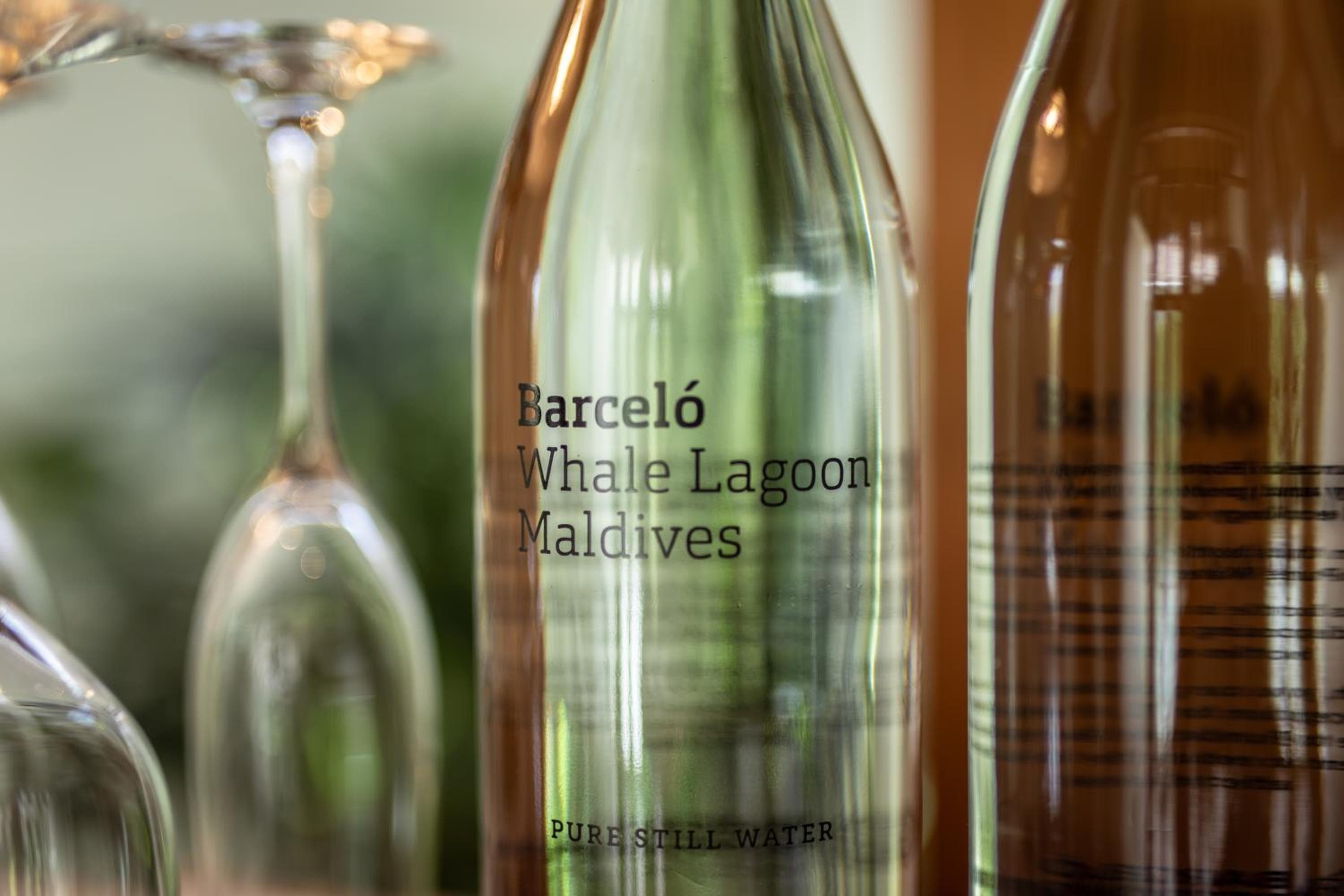 Barceló Whale Lagoon Maldives - View 48