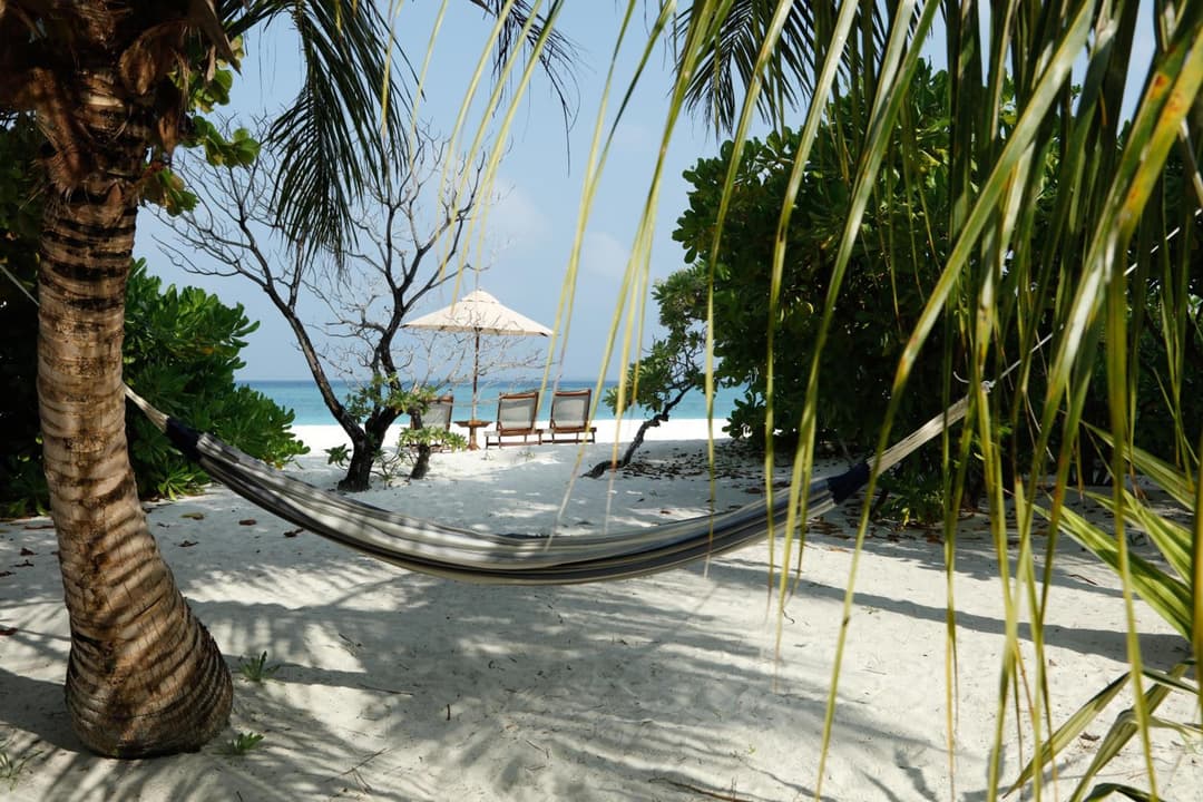The Barefoot Eco Hotel - View 72