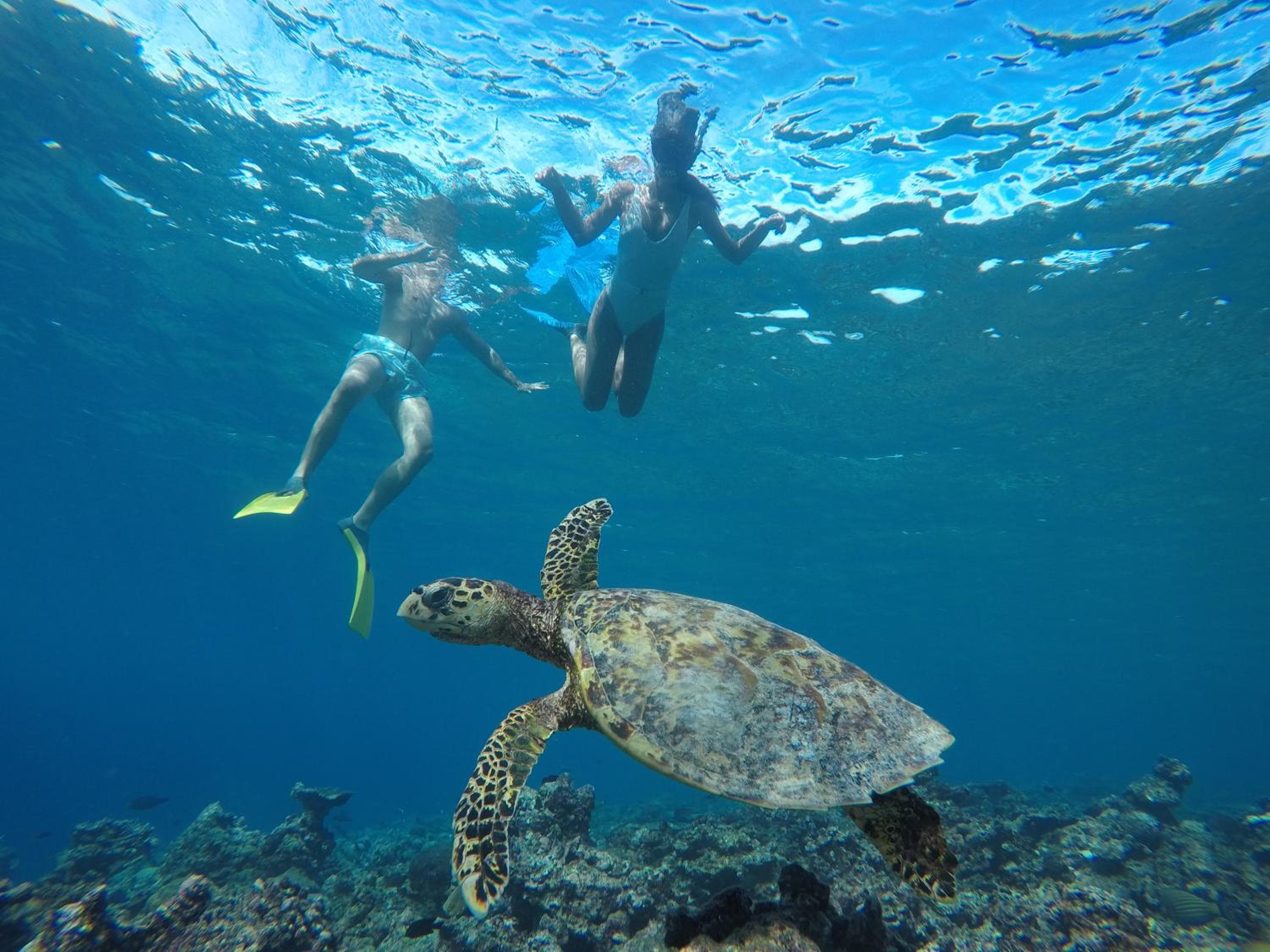 The Barefoot Eco Hotel - View 81