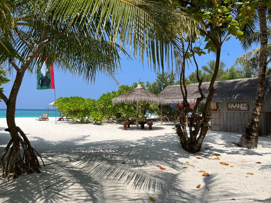 The Barefoot Eco Hotel - View 31