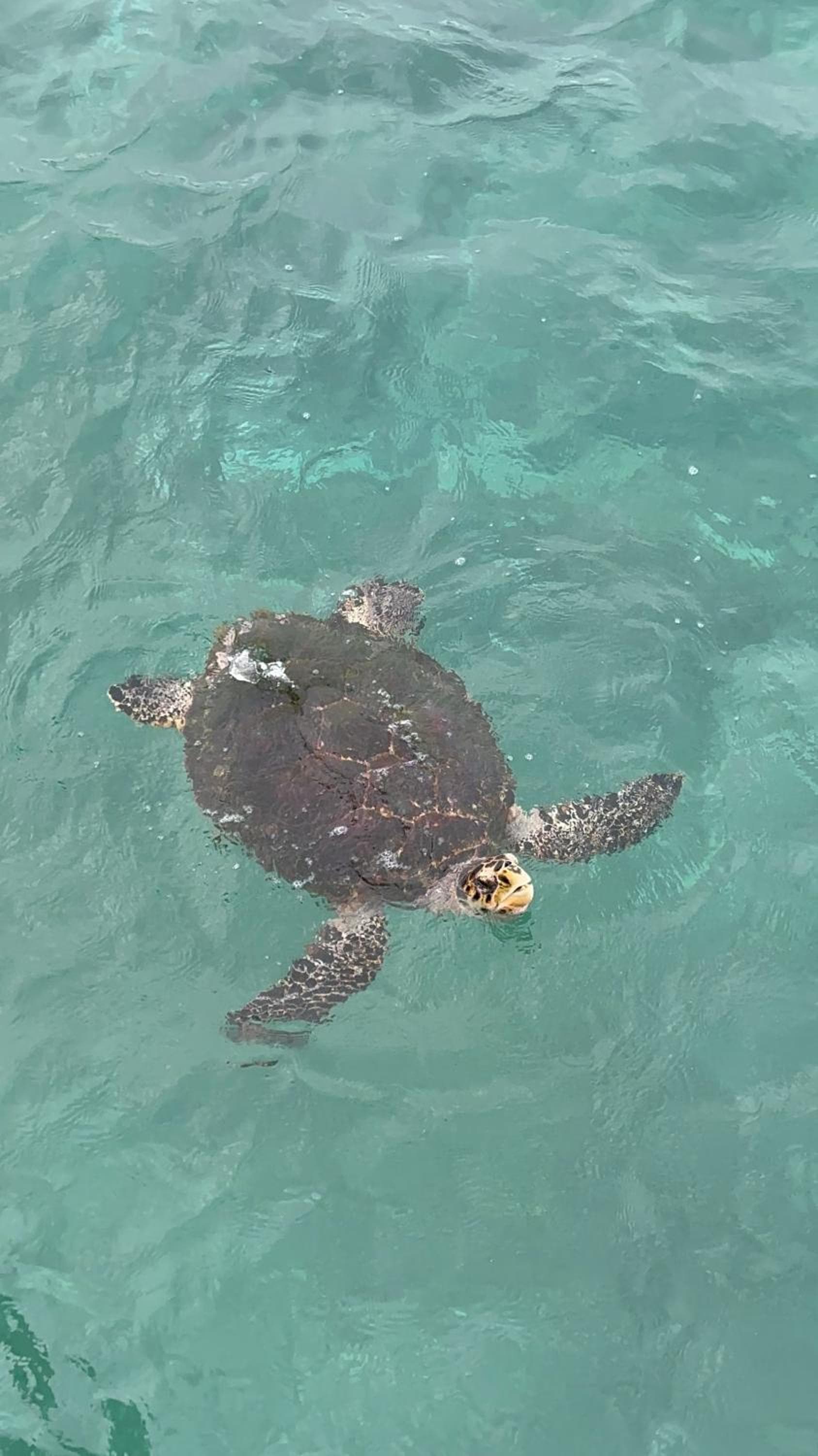 Beach Veli - View 83