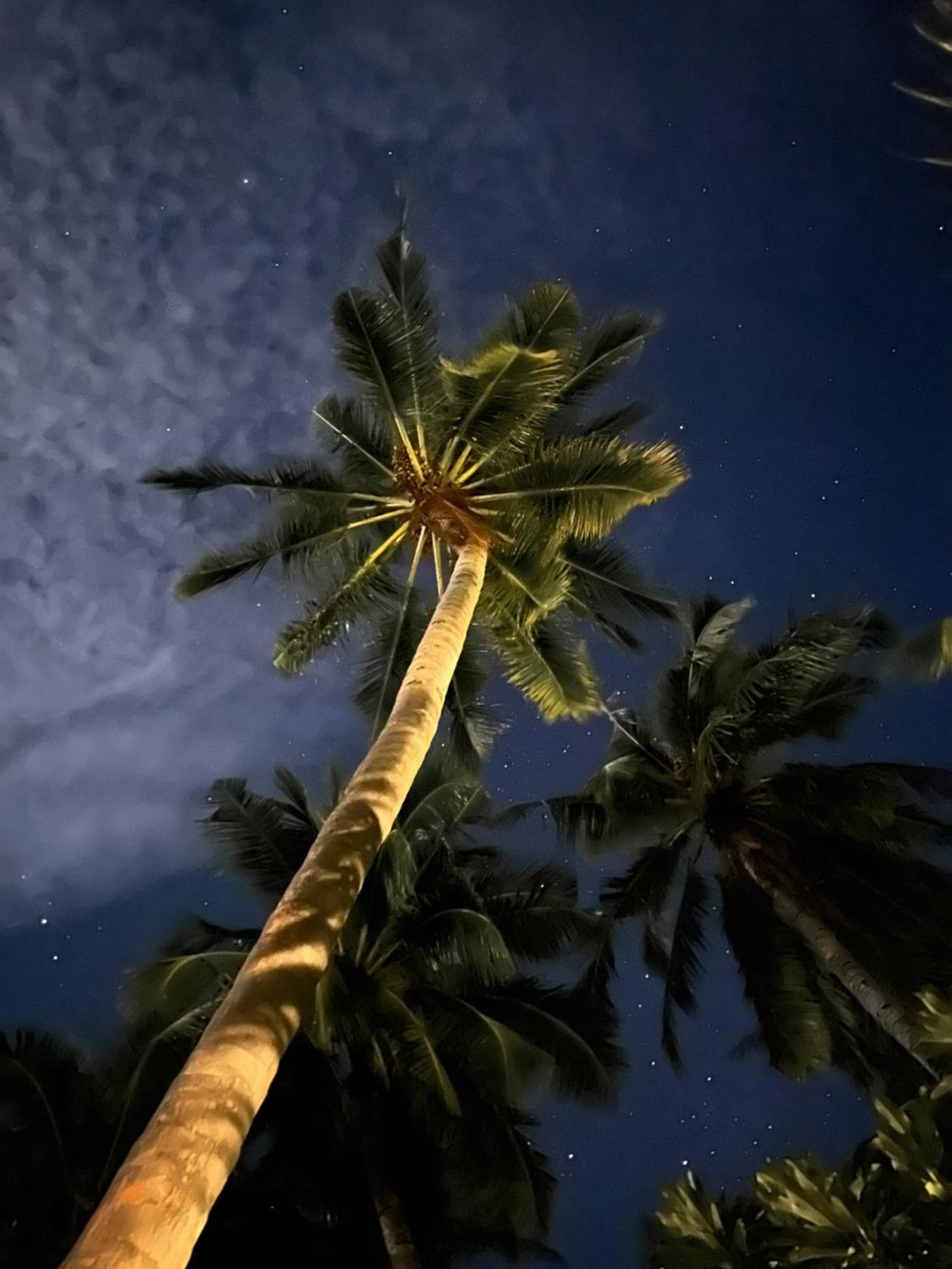 Beach Veli - View 78