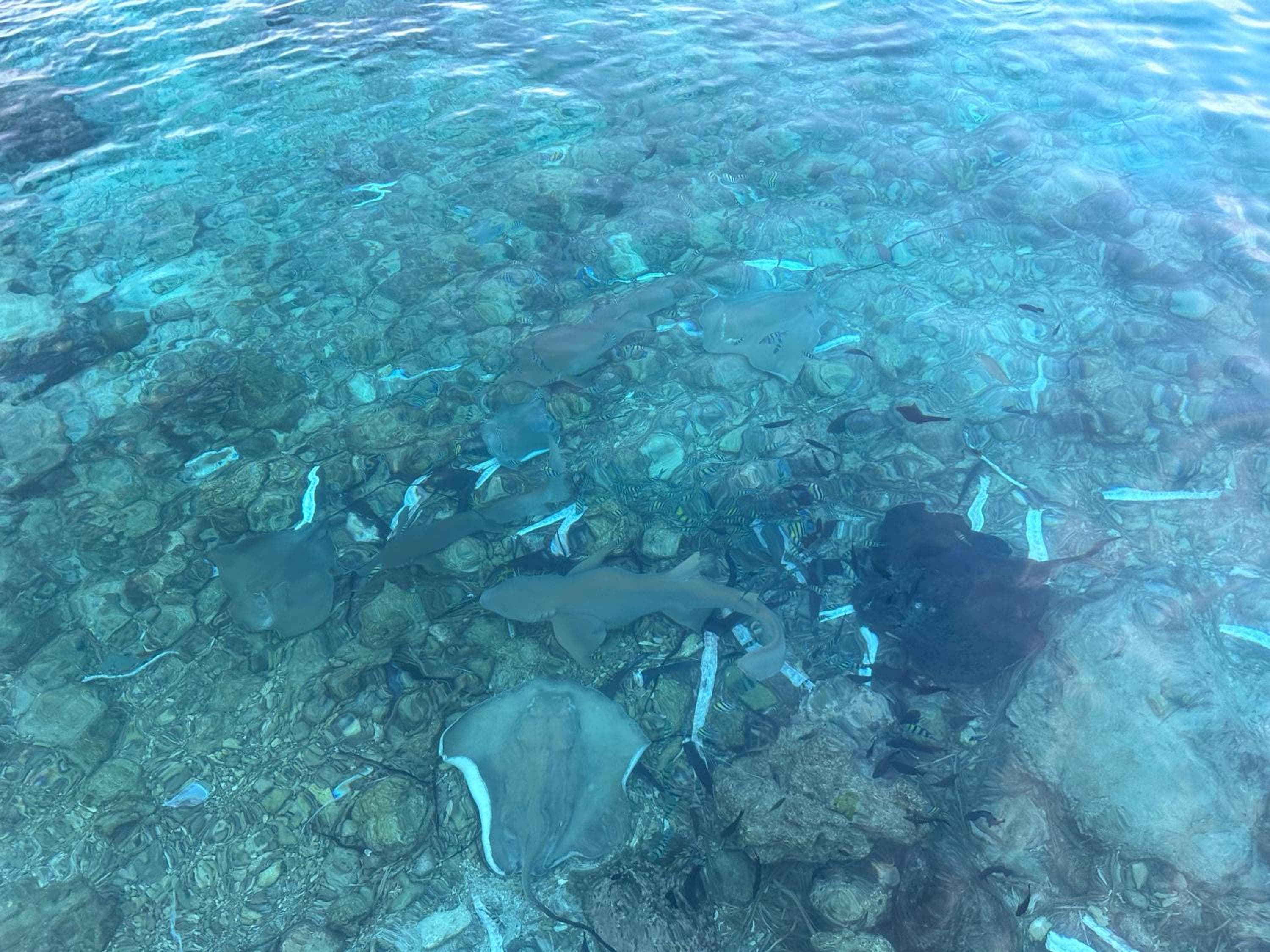 Beach Veli - View 73