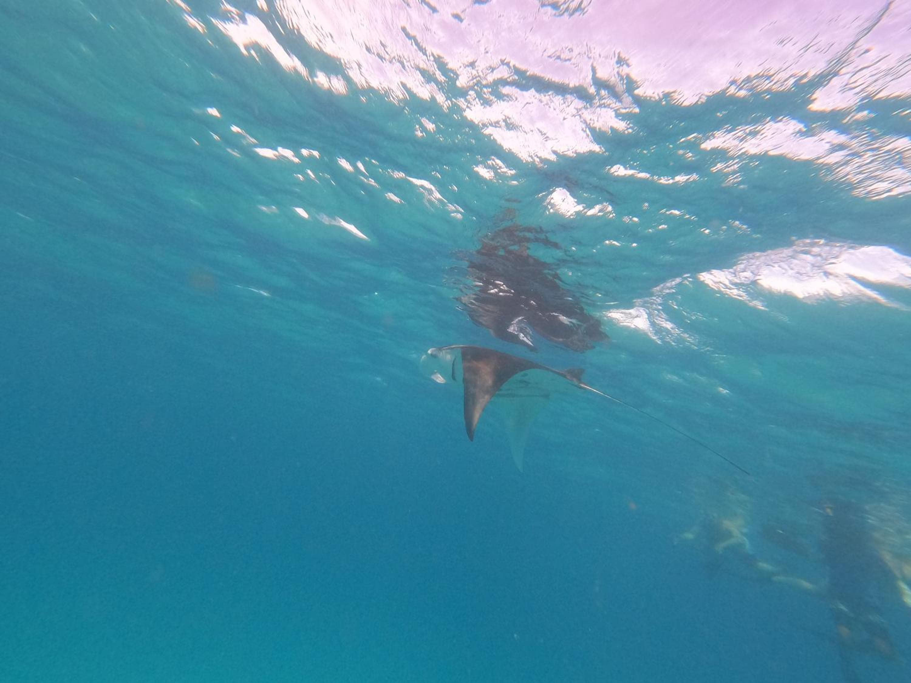 Beach Veli - View 25