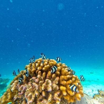 Beach Veli - View 18