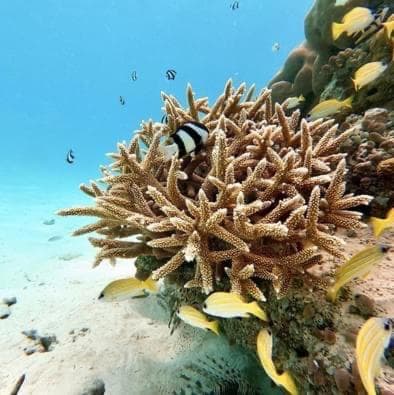 Beach Veli - View 23