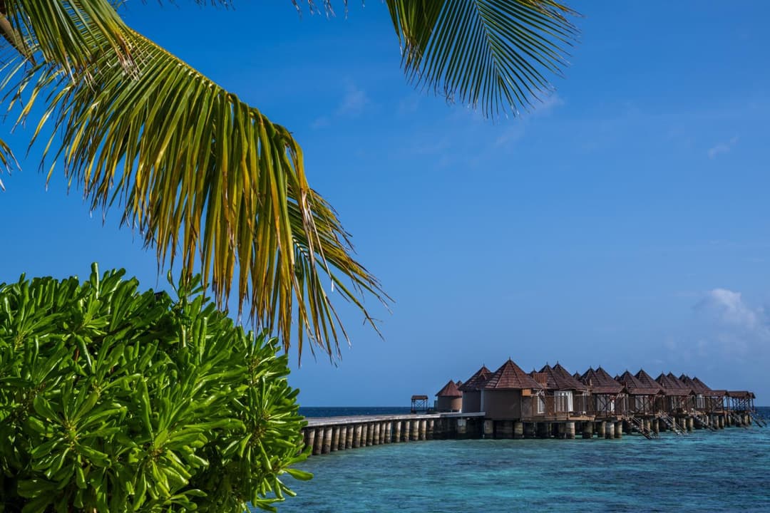Nika Island Resort & Spa, Maldives - View 68